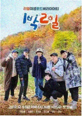 久久99综合 向往的生活